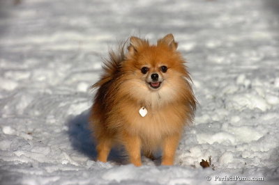 Dec8_07_028.jpg