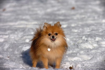 Dec8_07_029.jpg