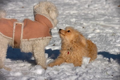 Dec8_07_030.jpg