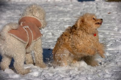 Dec8_07_031.JPG