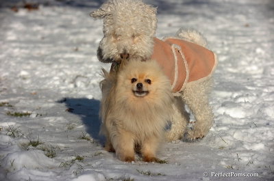 Dec8_07_037.JPG
