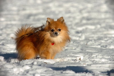 Dec8_07_041.jpg