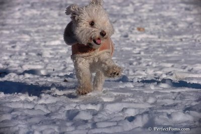 Dec8_07_044.jpg
