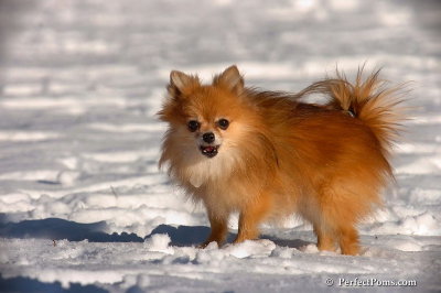 Dec8_07_047.jpg