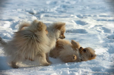 Dec8_07_057.JPG