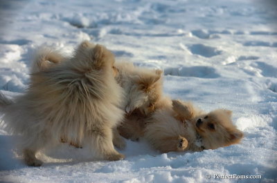 Dec8_07_058.JPG