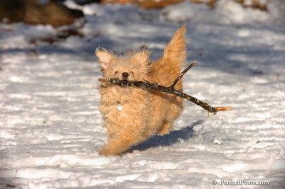 Dec8_07_065.JPG