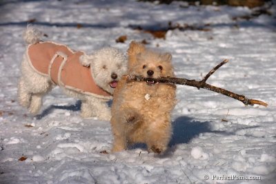 Dec8_07_067.jpg