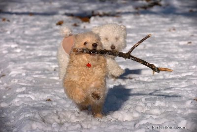 Dec8_07_068.jpg