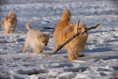 Dec8_07_077.jpg