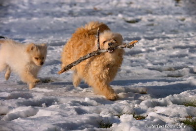 Dec8_07_078.jpg