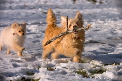 Dec8_07_079.jpg
