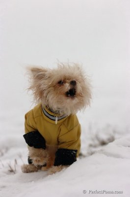 Dec15_07_708.JPG