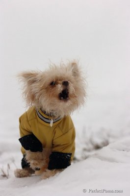 Dec15_07_710.JPG
