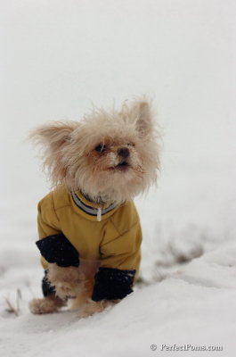 Dec15_07_711.JPG