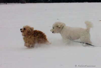 Dec15_07_753.jpg