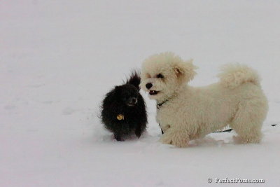 Dec15_07_754.jpg