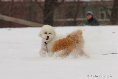 Dec15_07_757.jpg