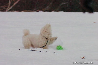 Dec15_07_774.jpg