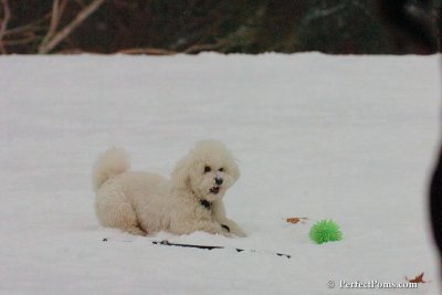 Dec15_07_776.jpg