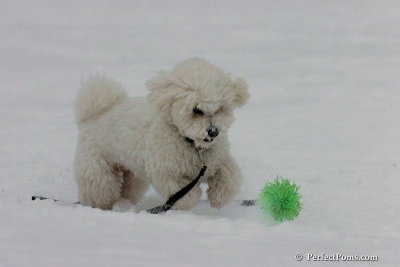 Dec15_07_779.jpg