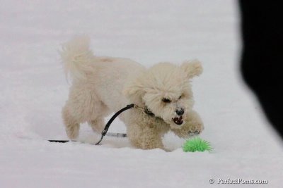 Dec15_07_780.jpg