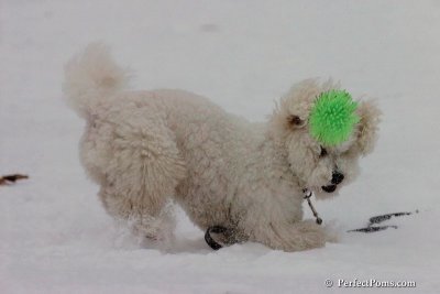 Dec15_07_786.jpg