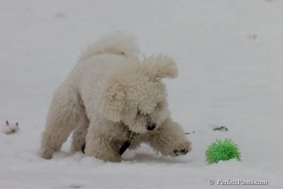 Dec15_07_788.jpg