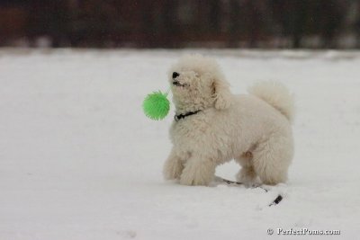 Dec15_07_798.jpg