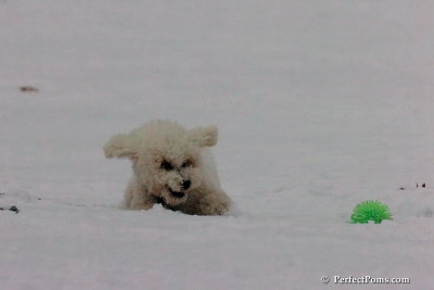 Dec15_07_800.jpg