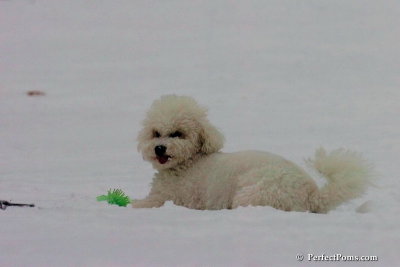 Dec15_07_801.jpg