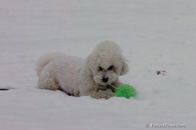 Dec15_07_806.jpg