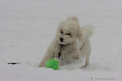 Dec15_07_808.jpg