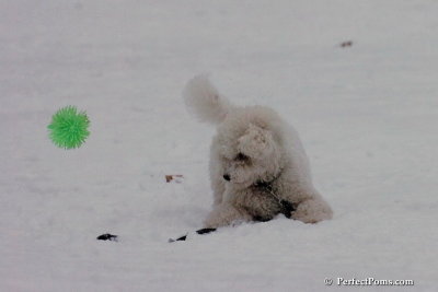 Dec15_07_812.jpg