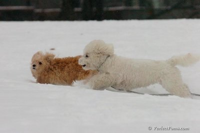 Dec15_07_816.jpg