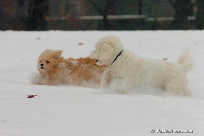 Dec15_07_817.jpg