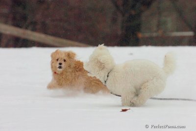 Dec15_07_818.jpg