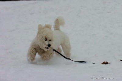Dec15_07_820.jpg