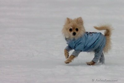 Dec15_07_822.jpg
