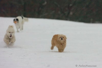 Dec15_07_824.jpg