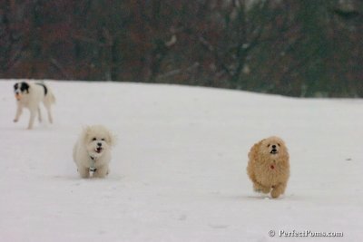 Dec15_07_827.jpg