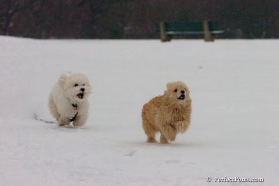Dec15_07_828.jpg