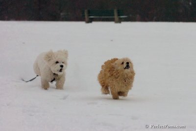 Dec15_07_829.jpg