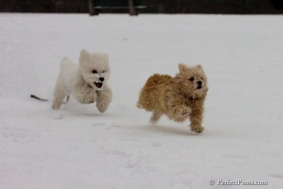 Dec15_07_830.jpg