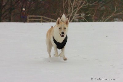 Dec15_07_831.jpg