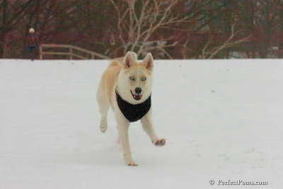 Dec15_07_832.jpg