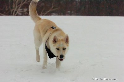 Dec15_07_833.jpg