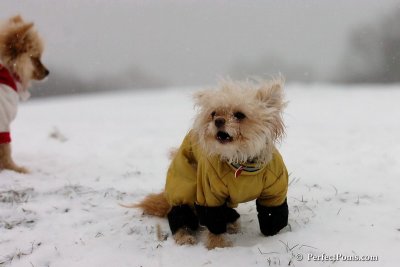 Dec15_07_489.jpg