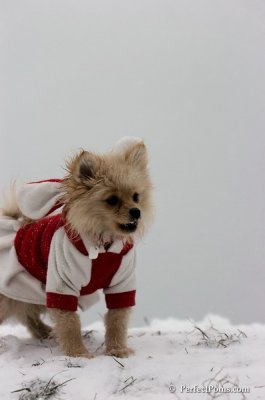 Dec15_07_498.JPG