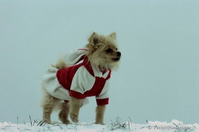 Dec15_07_499.JPG
